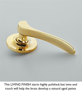 Polished Brass Unlacquered