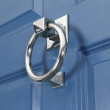 Polished Chrome Ring Door