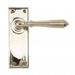 Polished Nickel Reeded Latch Handles