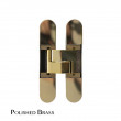 Polished Brass Eclipse Adjustable Concealed Hinge