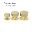 Unlacquered Brass Brompton Cupboard Knobs on Rose
