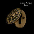 Adam Oval Covered Escutcheon - Medium Antique Brass