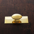 Monroe Small Oval on Small Backplate - Brass