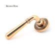 Polished Bronze Newbury Lever on Beehive Rose