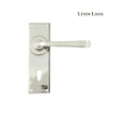 Nickel Avon Lever Lock Handles